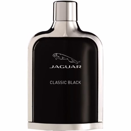 560x560 (1) ادکلن جگوار کلاسیک بلک