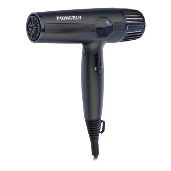 سشوار پرنسلی مدل PR280AT